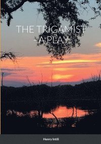 bokomslag The Trigamist - A Play