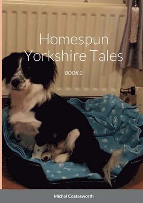 Homespun Yorkshire Tales 1