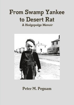 bokomslag From Swamp Yankee to Desert Rat