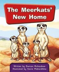 bokomslag MSEA Springboard Connect 5c Meerkats' New Home