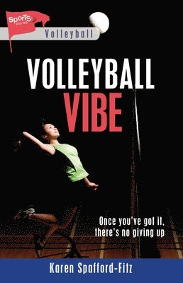 bokomslag Volleyball Vibe