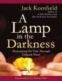 bokomslag A Lamp in the Darkness (1 Volume Set)