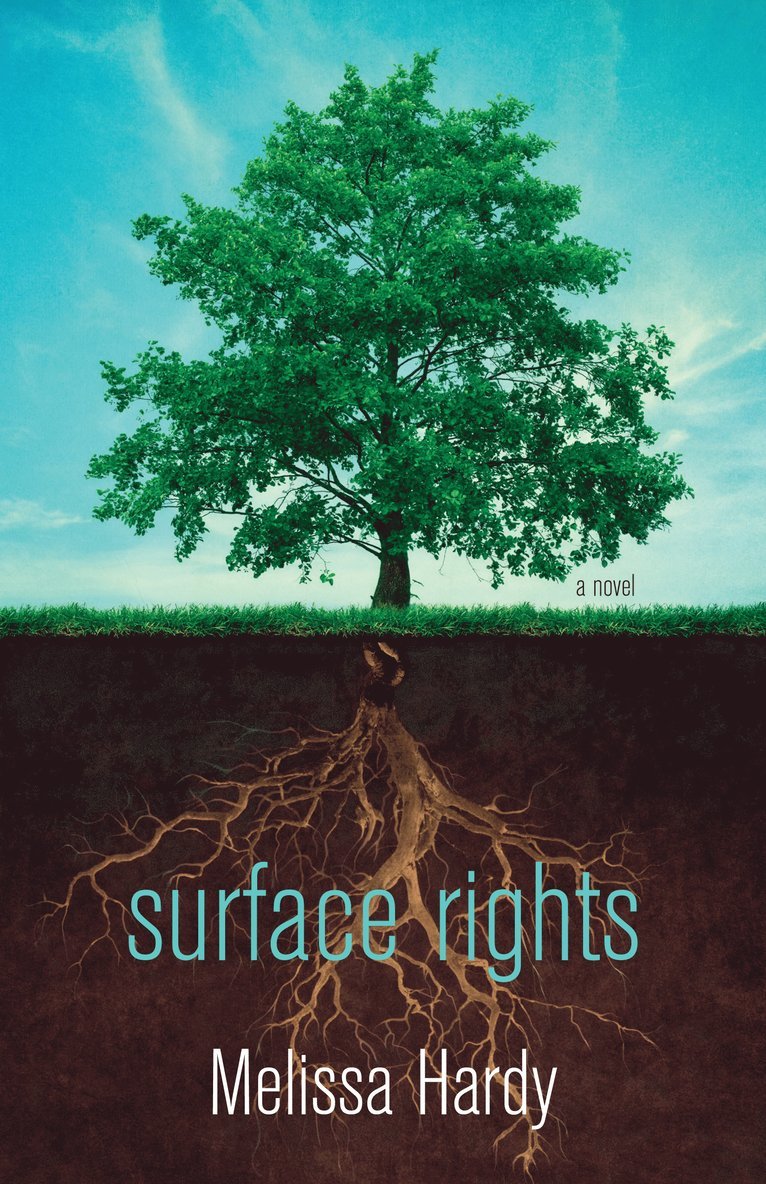 Surface Rights 1