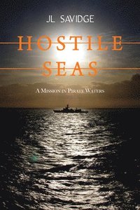 bokomslag Hostile Seas