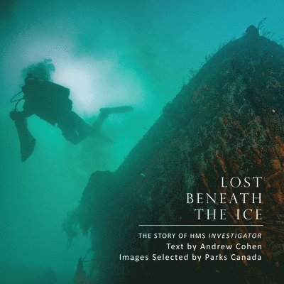 Lost Beneath the Ice 1