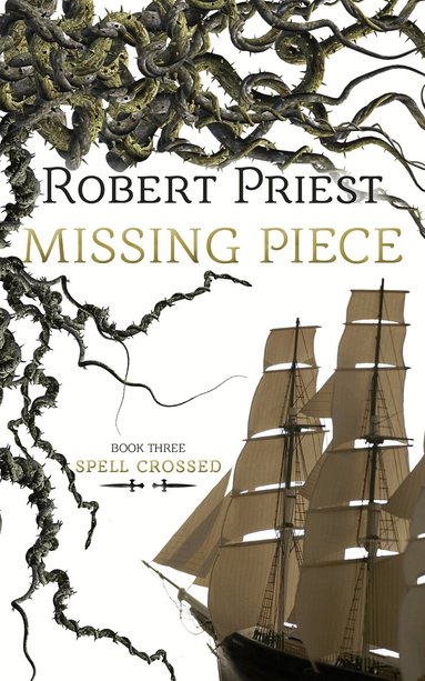 Robert Priest - Missing Piece, Häftad