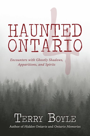 bokomslag Haunted Ontario 4