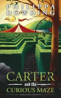 bokomslag Carter and the Curious Maze