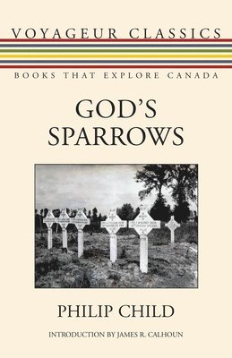 bokomslag God's Sparrows