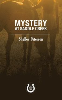 bokomslag Mystery at Saddle Creek