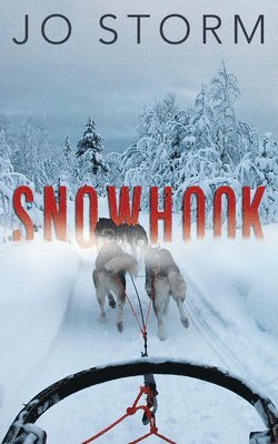 Snowhook 1