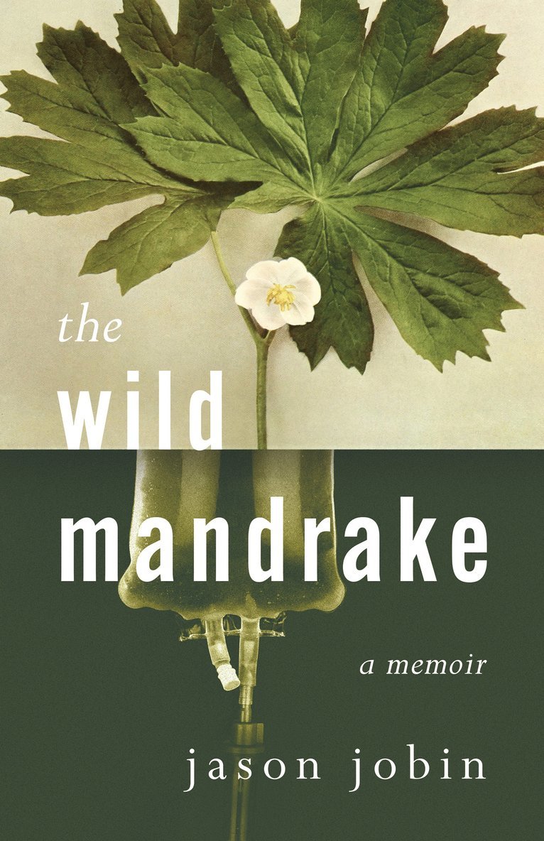 Jason Jobin - Wild Mandrake, Häftad