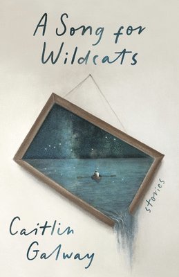 bokomslag A Song for Wildcats
