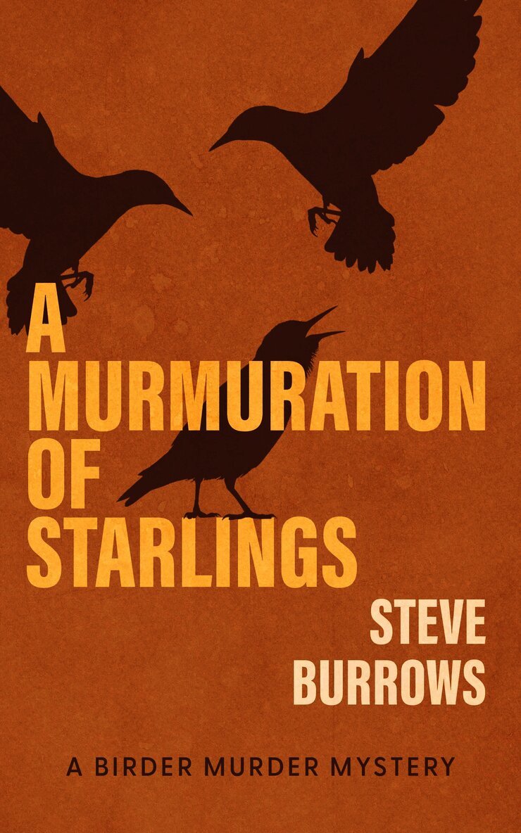 Murmuration of Starlings