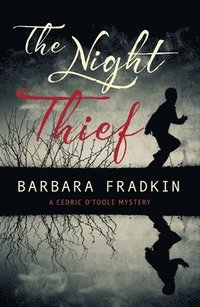bokomslag The Night Thief