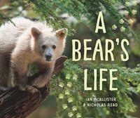 bokomslag A Bear's Life