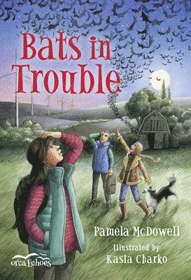 Pamela McDowell - Bats in Trouble, Häftad