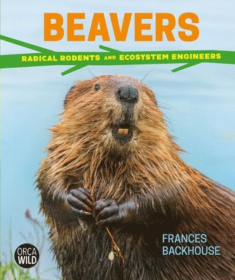 Beavers 1