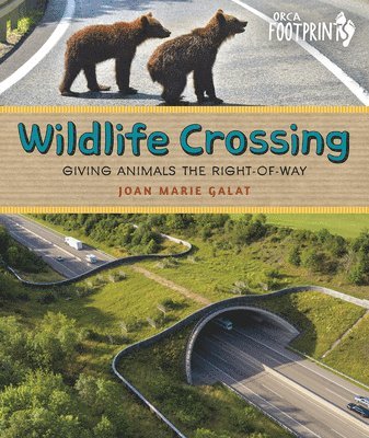 Wildlife Crossing: Giving Animals the Right-Of-Way 1