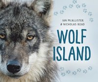bokomslag Wolf Island