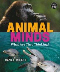 bokomslag Animal Minds: What Are They Thinking?