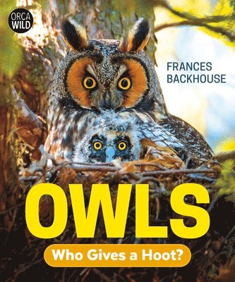 bokomslag Owls: Who Gives a Hoot?