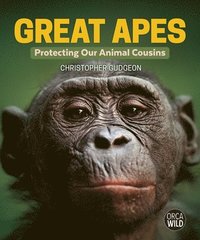 bokomslag Great Apes: Protecting Our Animal Cousins