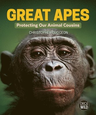 bokomslag Great Apes