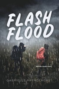 bokomslag Flash Flood