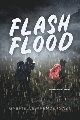 Flash Flood 1