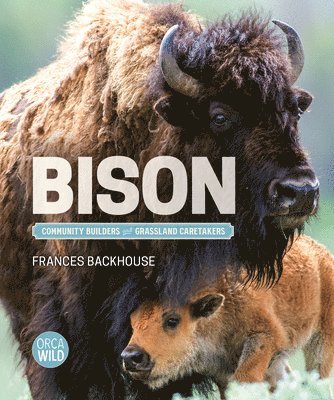 bokomslag Bison: Community Builders and Grassland Caretakers