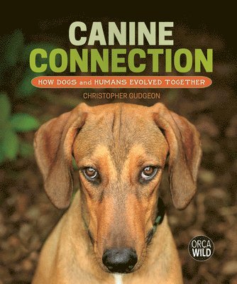 bokomslag Canine Connection: How Dogs and Humans Evolved Together