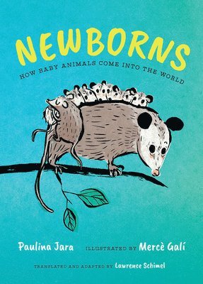 Paulina Jara - Newborns: How Baby Animals Come Into the World, Inbunden