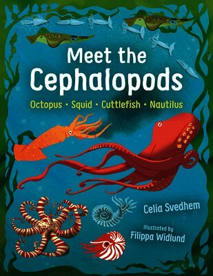 Celia Svedhem - Meet the Cephalopods: Octopus, Squid, Cuttlefish, Nautilus, Inbunden