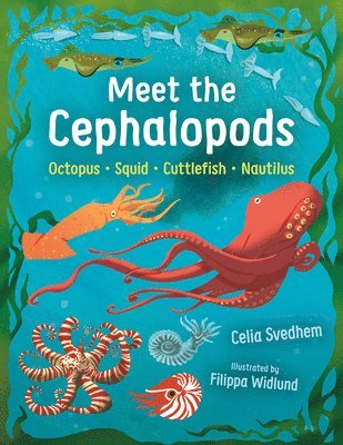 bokomslag Meet the Cephalopods: Octopus, Squid, Cuttlefish, Nautilus