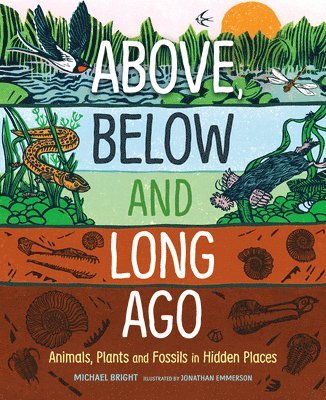 bokomslag Above, Below and Long Ago: Animals, Plants and Fossils in Hidden Places