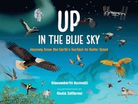 bokomslag Up in the Blue Sky