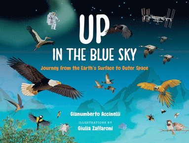 bokomslag Up in the Blue Sky: Journey from the Earth's Surface to Outer Space