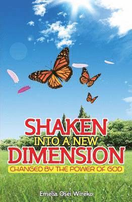 Shaken Into a New Dimension 1