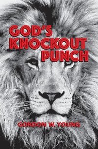 bokomslag God's Knockout Punch