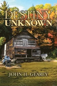 bokomslag Destiny Unknown