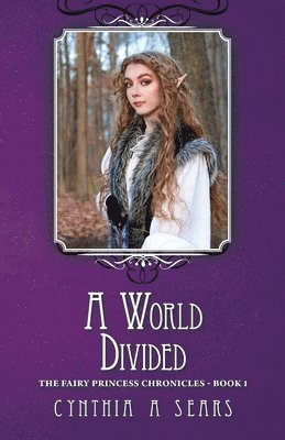 World Divided