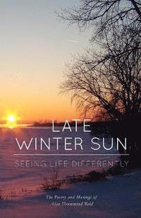 bokomslag Late Winter Sun