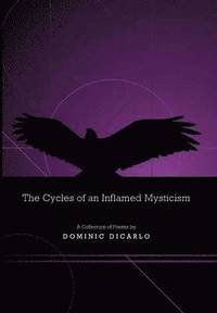 bokomslag The Cycles of an Inflamed Mysticism