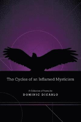 bokomslag The Cycles of an Inflamed Mysticism