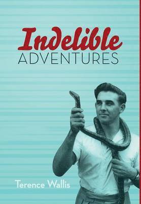 bokomslag Indelible Adventures