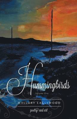 bokomslag Hummingbirds
