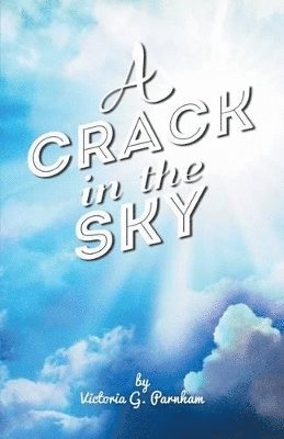 bokomslag Crack in the Sky