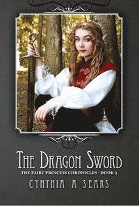 bokomslag The Dragon Sword