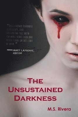 bokomslag Unsustained Darkness